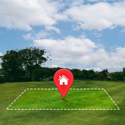 delimitation-land-with-trees